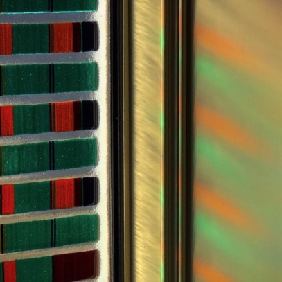 Plants: image 4 0f 4 thumb