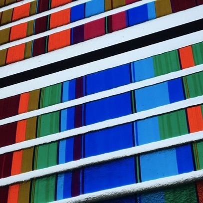 Plants: image 2 0f 4 thumb