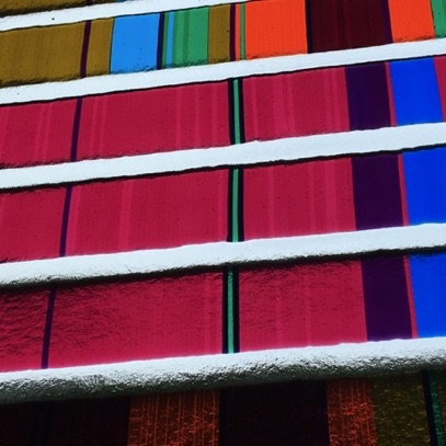 Plants: image 3 0f 4 thumb